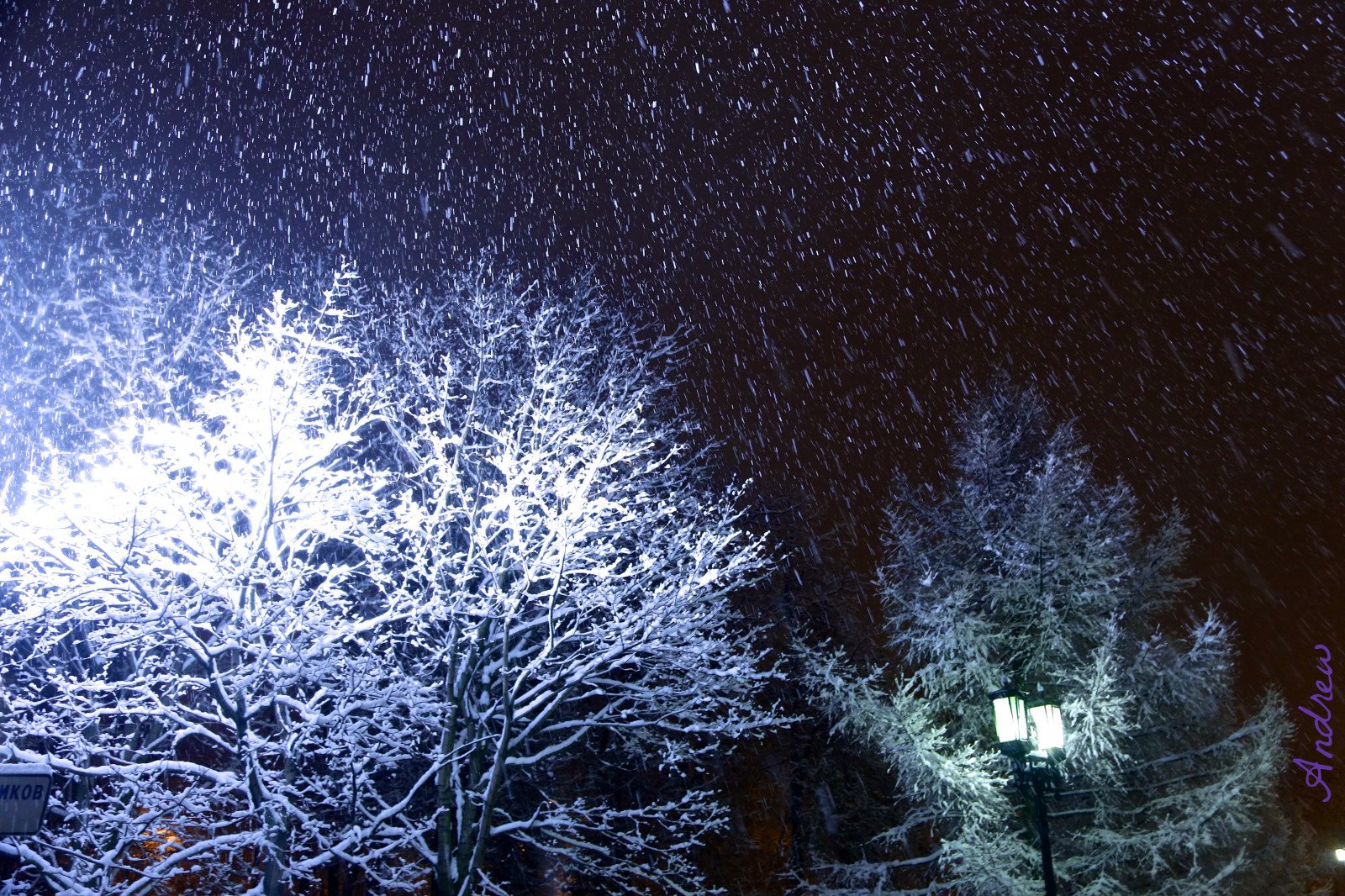 Вечером снежок. Зимняя ночь. Деревья в снегу ночью. Снег ночью. Зимние деревья ночью.