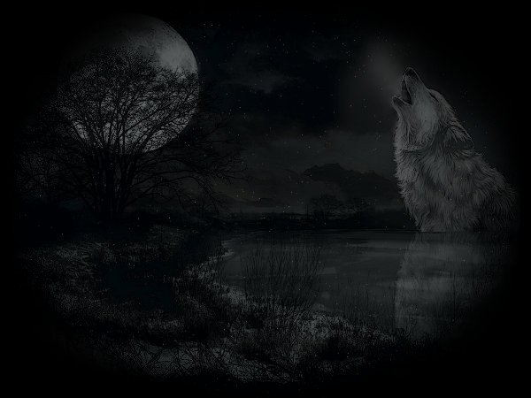 Волк воет в лесу