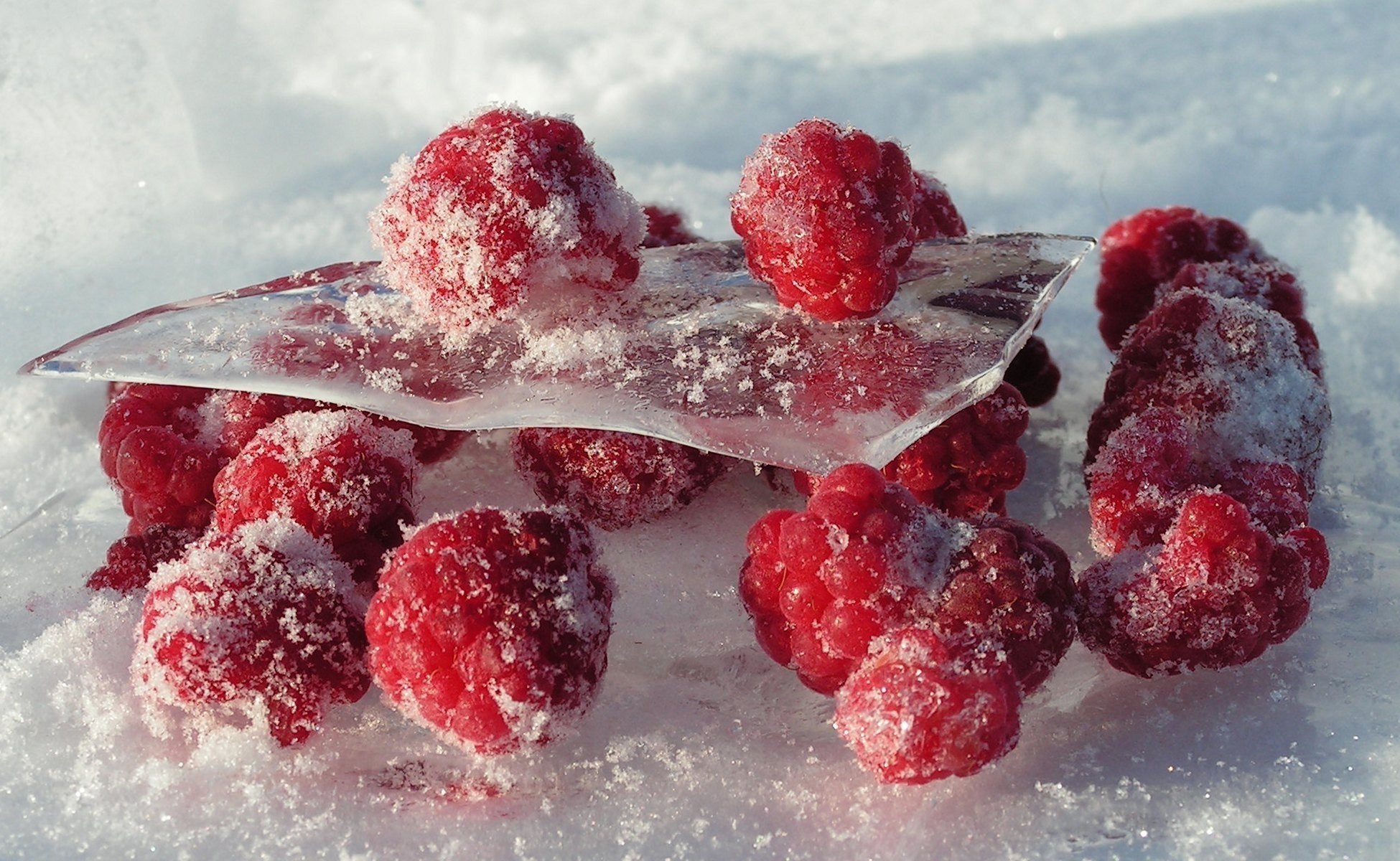 Можно просто заморозить. Замороженные ягоды. Ягоды во льду. Снежная ягода. Морозные ягоды.