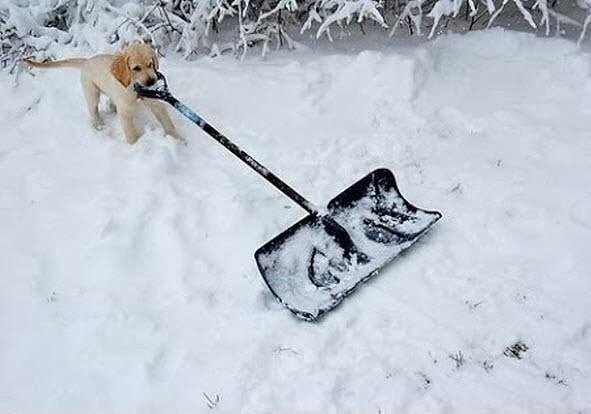 Лопата для снега прикол