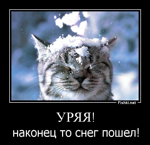Наконец то снег
