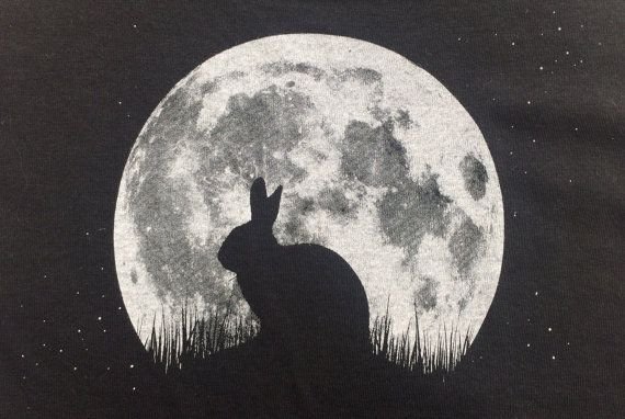 Кролик на Луне