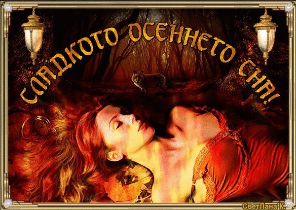Спокойной ночи осенних снов