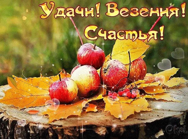 Доброго осеннего дня и доброго здоровья