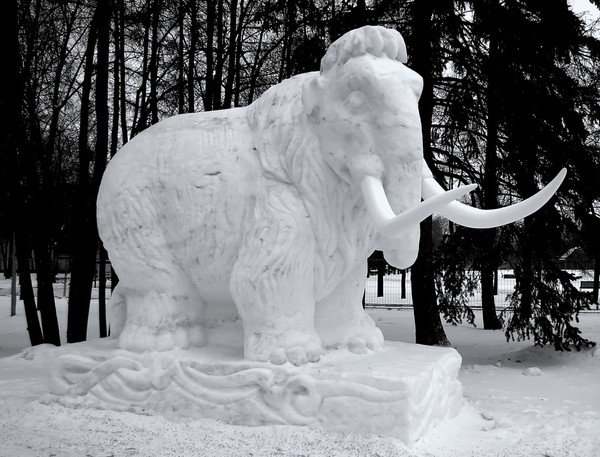 Слон из снега
