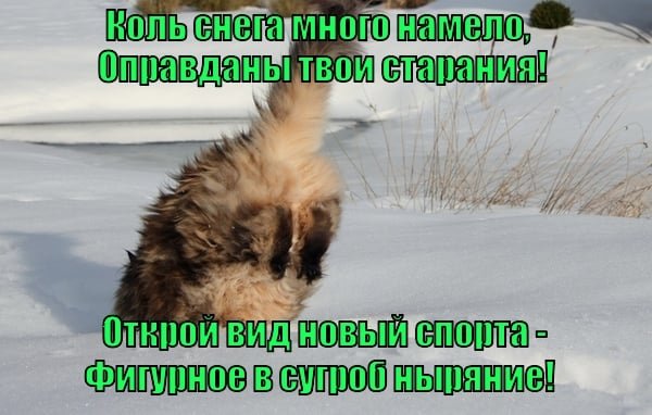 Шутки про много снега