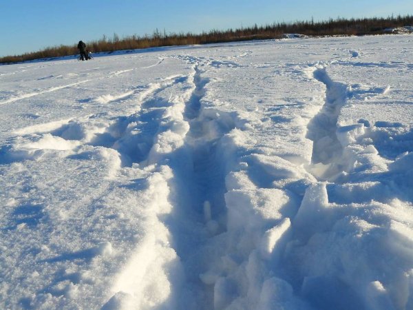 Зимний наст
