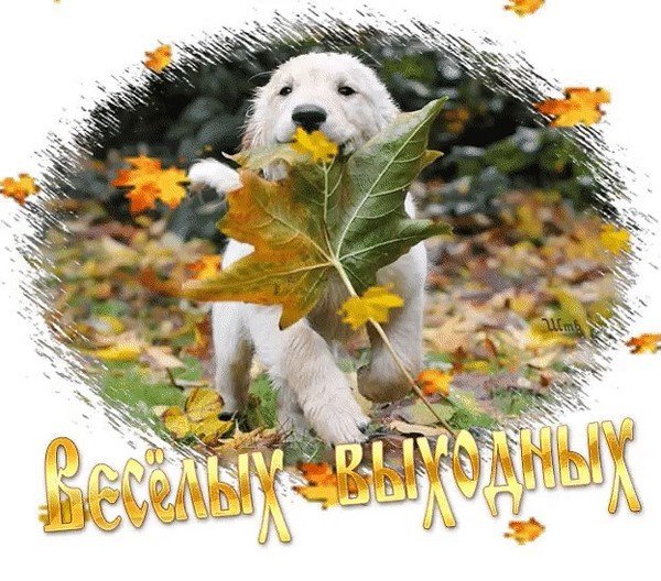 Картинки субботнее осеннее утро красивые (56 фото)