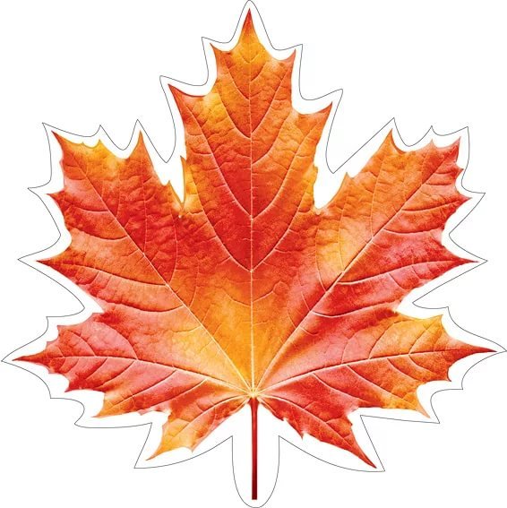 Кленовые листочки