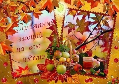 Отличной недели осень