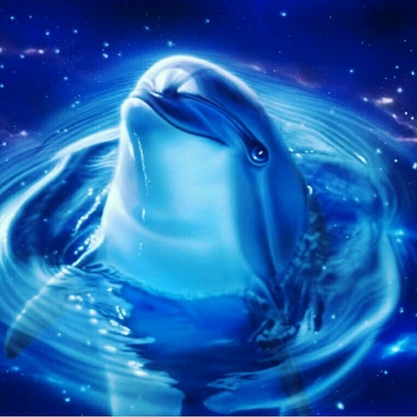 Дельфины в космосе