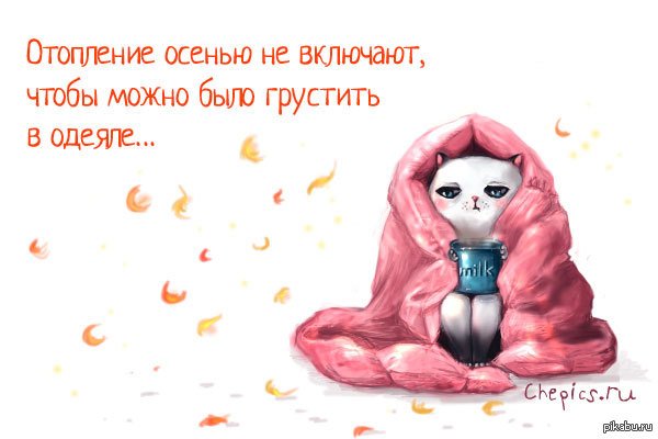 Шутки про осенний холод