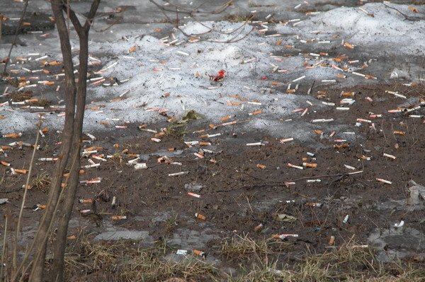 Окурки на газоне