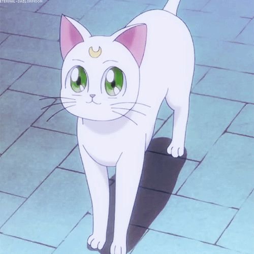 Сейлормун кот Артемис