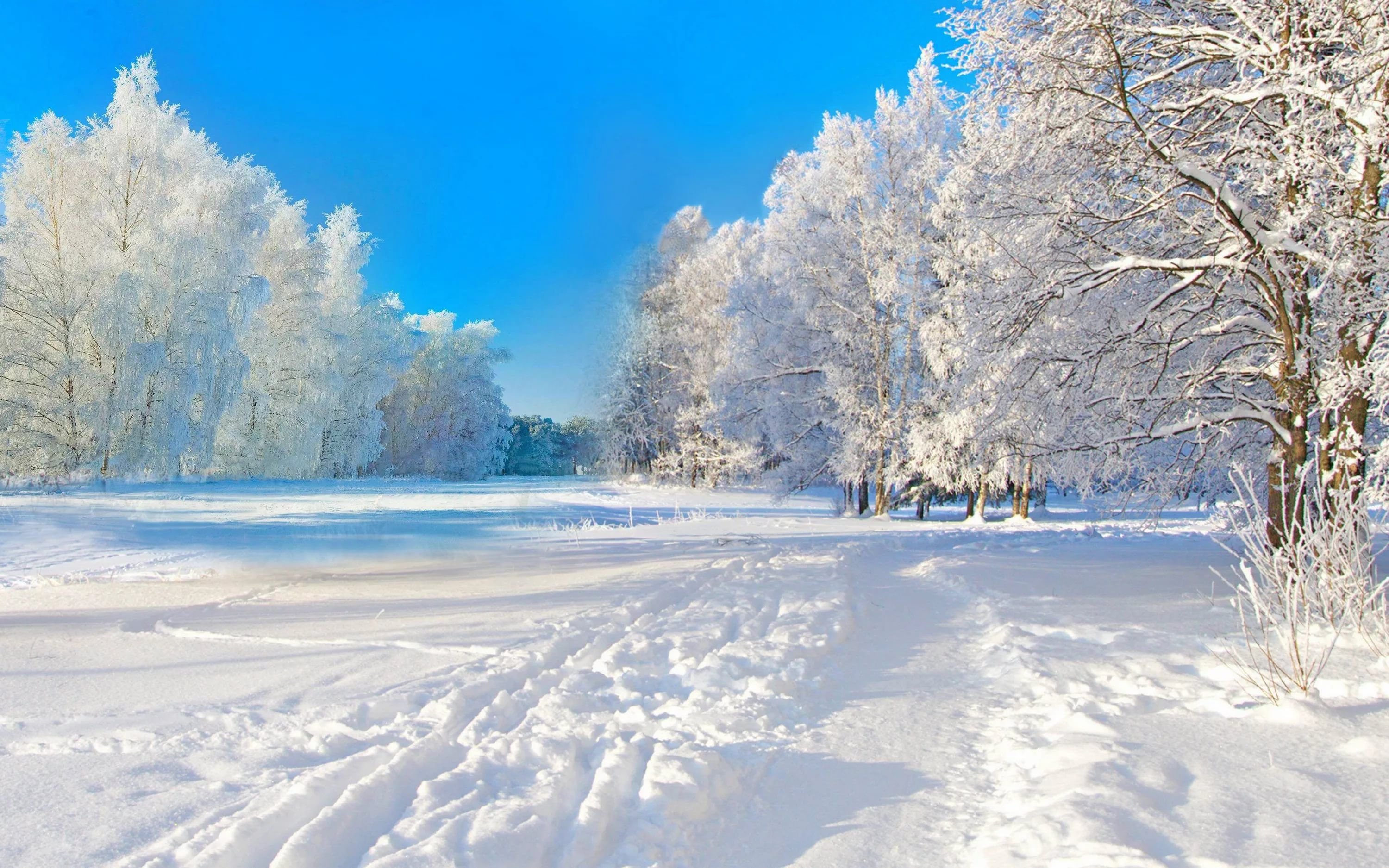 Картинки Снег На Андроид (66 Фото) » Картинки И Статусы Про.
