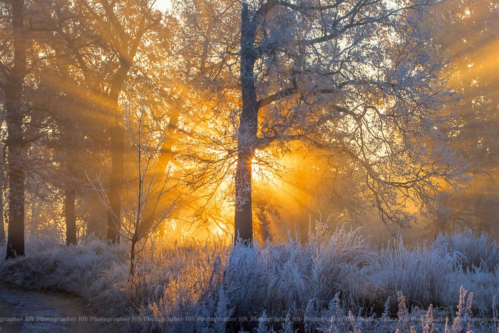 Утро ноября картинки. Морозное утро осень. Поздняя осень солнце. Морозное осеннее утро. Ноябрьское солнце.