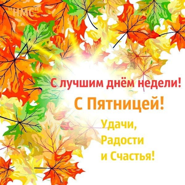Хорошей осенней пятницы