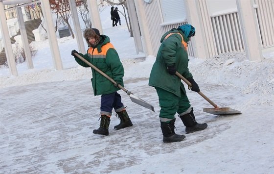 Профессия дворник в детском саду