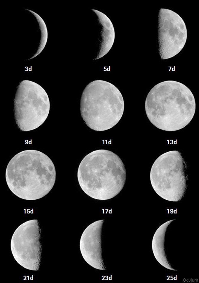 3 месяца в лунах. Фазы Луны. Третья фаза Луны. Лунный месяц. Луна в первую неделю месяца.