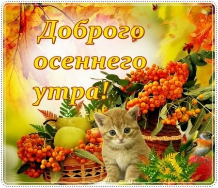Доброе утро осень