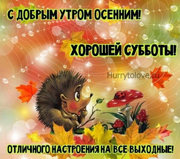 Доброе утро субботы осень