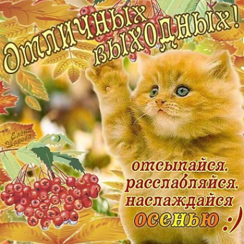 Хороших осенних выходных и отличного настроения