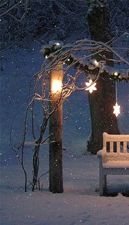 Гиф снегопад в парке