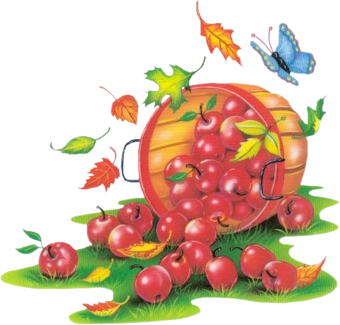 Осенние фрукты в ДОУ
