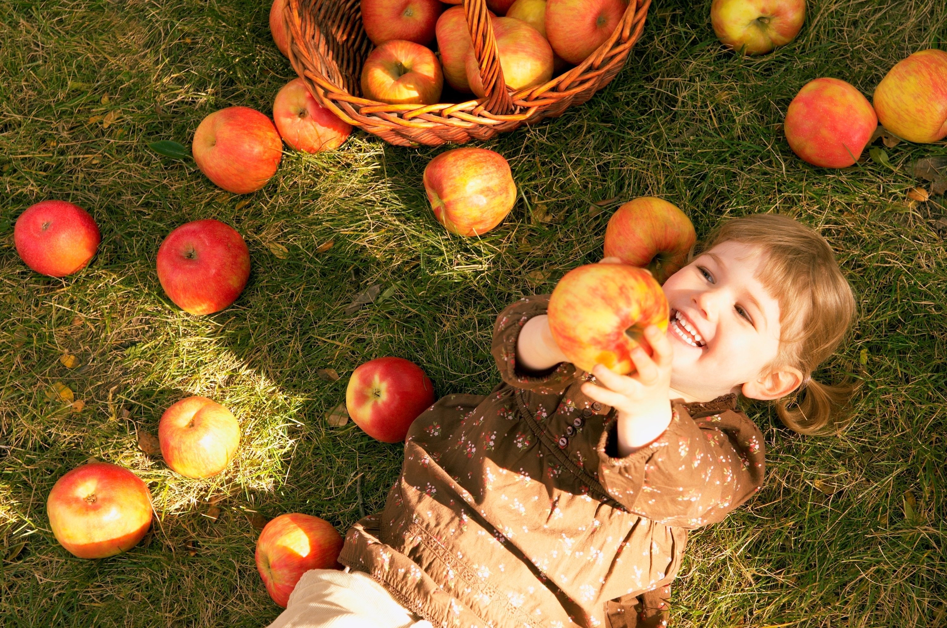 Яблочный спас пересказ. Яблочный спас. Девочка с яблоками. Яблоки в саду. Фотосессия с яблоками.