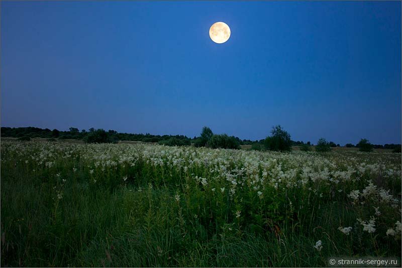 Ночное поле. Месяц над лугом. Луна светит на поле. Поле освещенное луной.