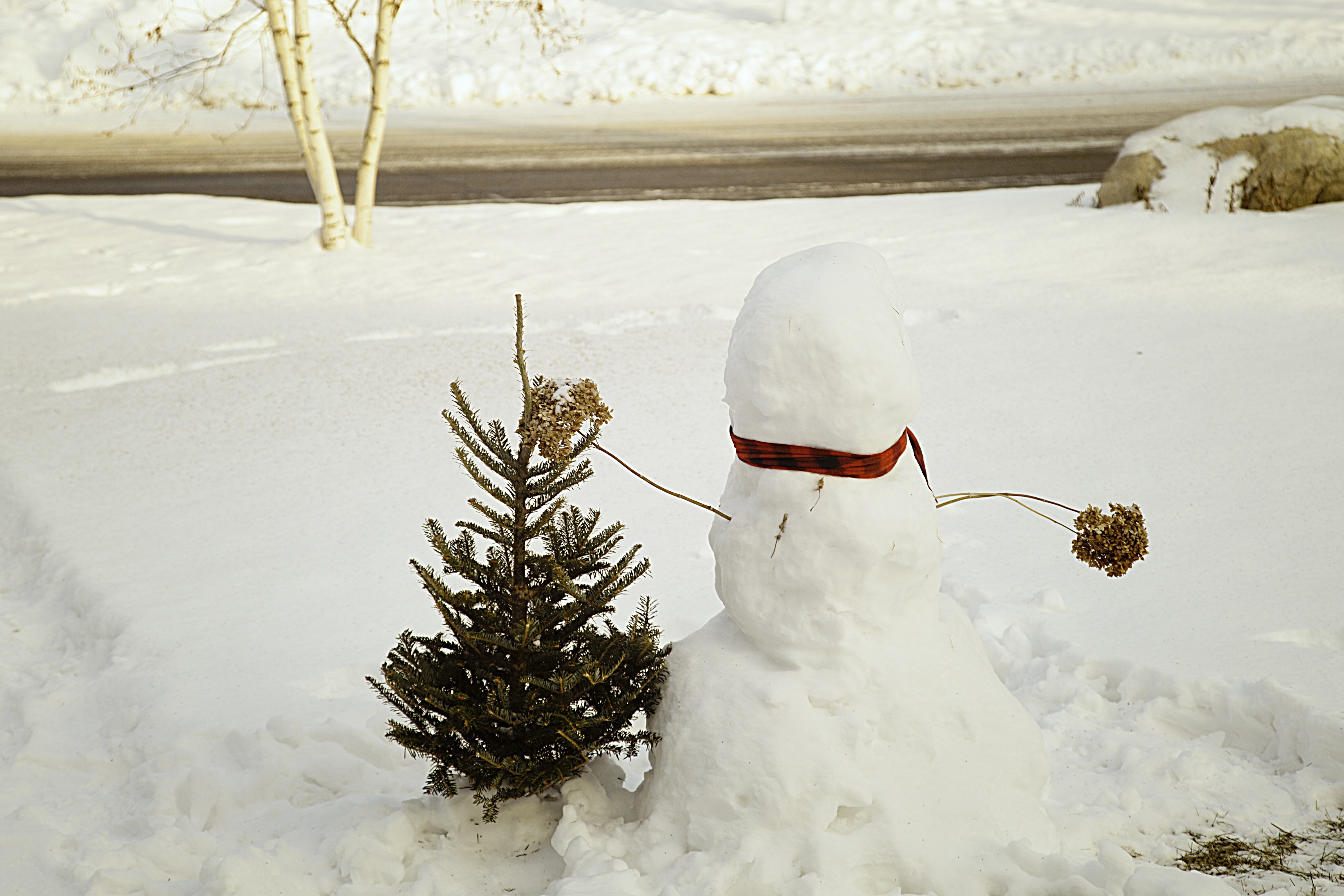 Сугроб снеговик. Снеговик красивый. Снеговик снежный. Необычные Снеговики. Радостный Снеговик.