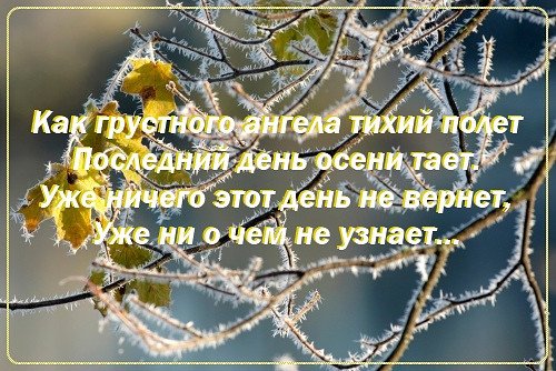 Последний день осени стихи