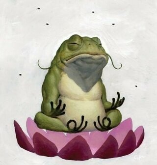 Картинки жаба и луна (65 фото)