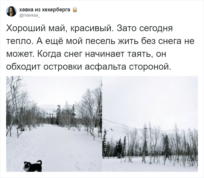 Песня у нас выпал снег. Снег выпал в мае. Картинки когда в мае выпал снег. Снег выпал в мае фото.
