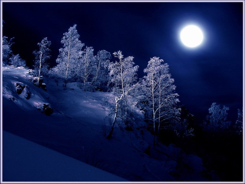 Луна зимой ночью. Зима ночь. Зимний ночной пейзаж. Ночь зимой. Зимний пейзаж ночью.