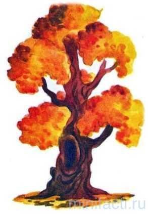 Осеннее дерево с дуплом