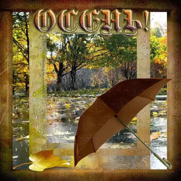 Доброго осеннего дождливого дня