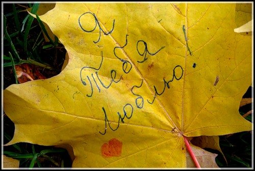 Люблю тебя осень