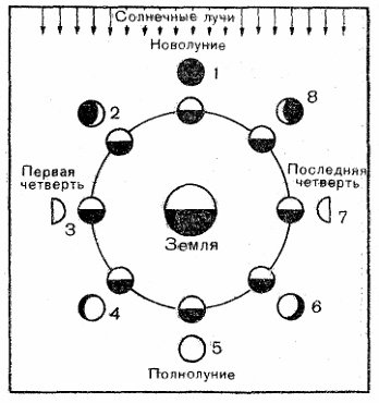 Новолуние схема
