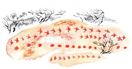 Красный снег водоросли