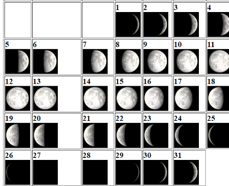 Вид Луны по неделям