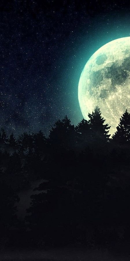 Ночной фон. Луна на фоне леса. Лес днем и ночью.
