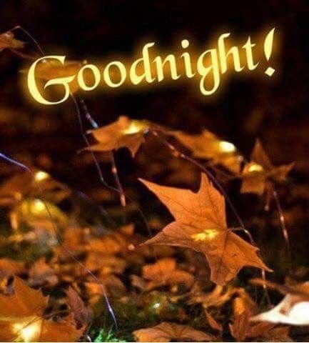 Спокойной ночи осень Золотая