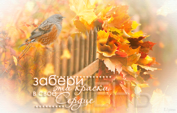 Счастливого солнечного осеннего дня