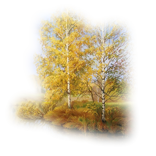 Береза осенью на прозрачном фоне