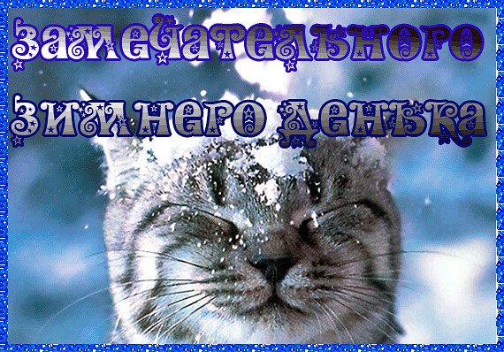 Прекраснова Зимнева денечка