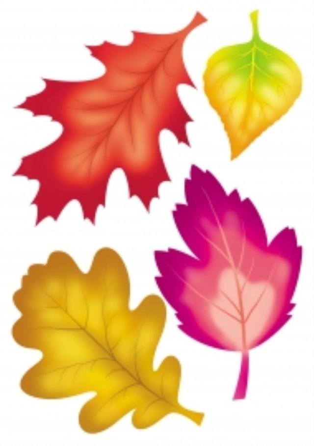 Раскраска с осенними листьями для творчества с детьми