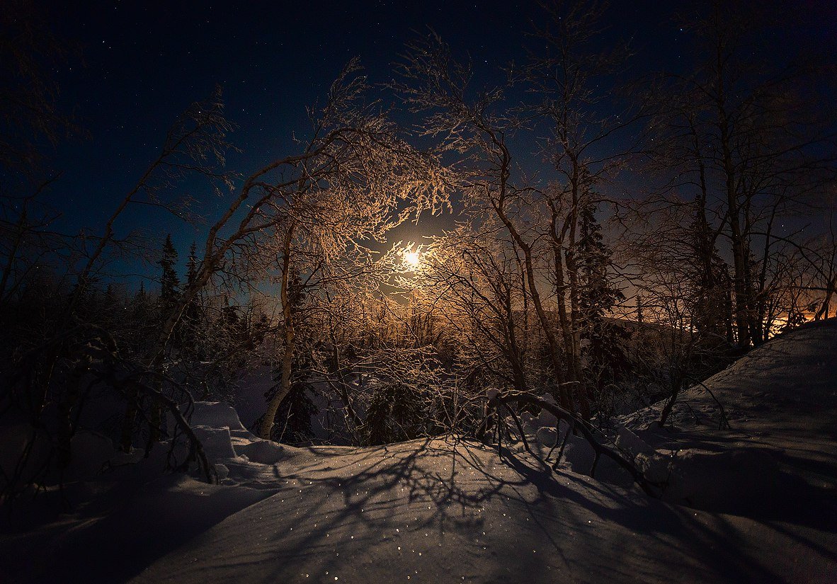 Луна зимой ночью. Зима ночь. Ночь зимой. Морозная ночь. Снег ночью.