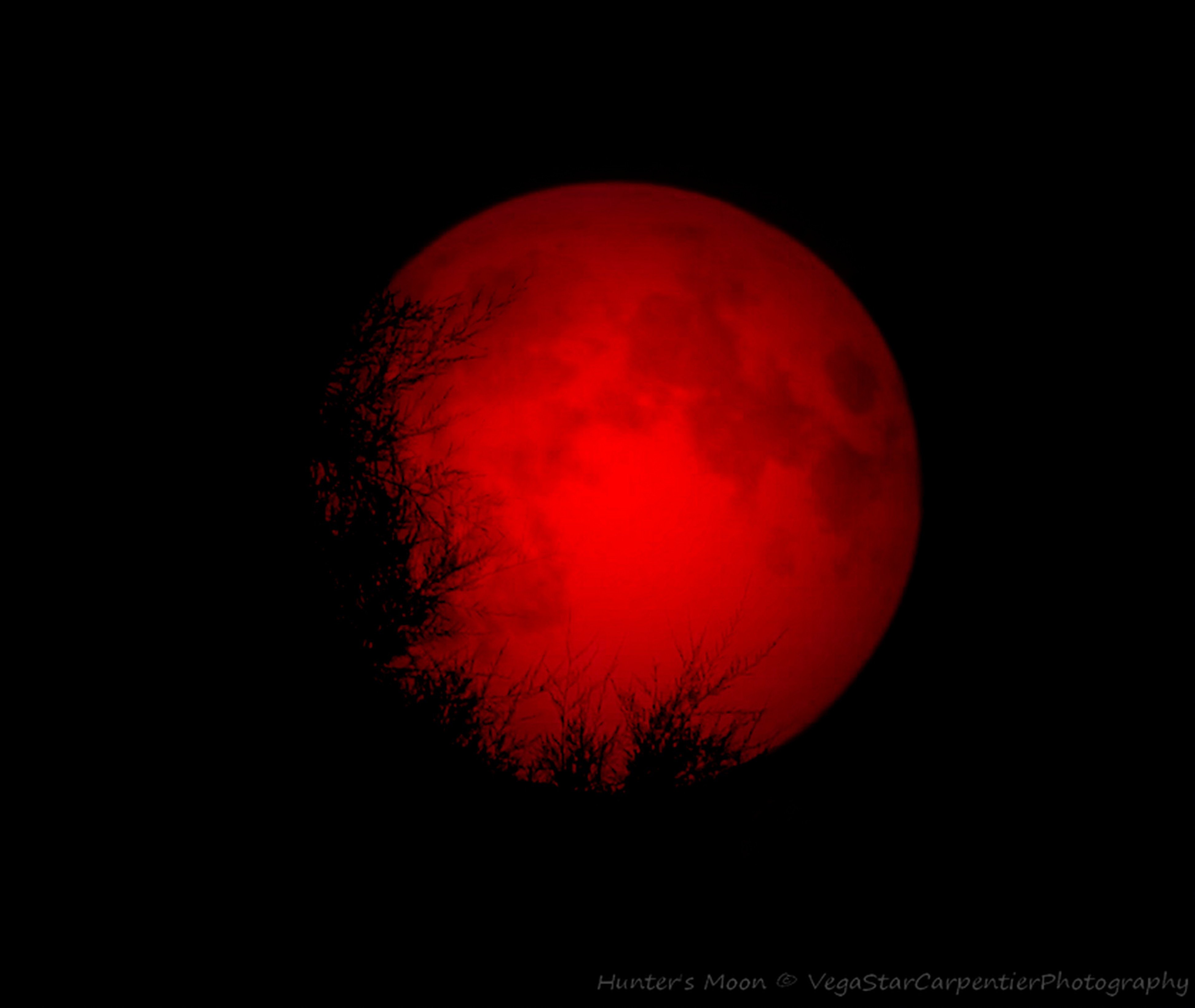 Черный цвет кажется красным. Красная Луна ( Хантер Эрин ). Кровавая Луна. Кровавое солнце. Кроваво красная Луна.