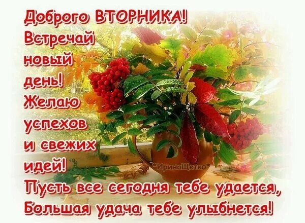 Доброе осеннее утро счастья и здоровья